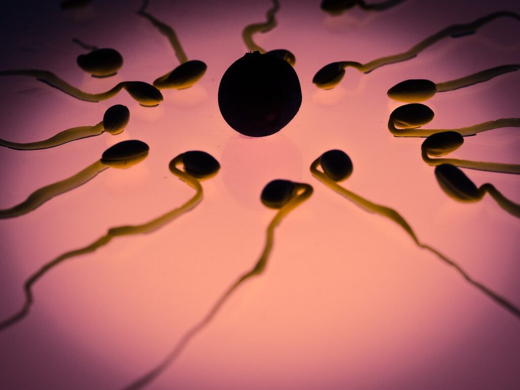 Contenuto dello sperma